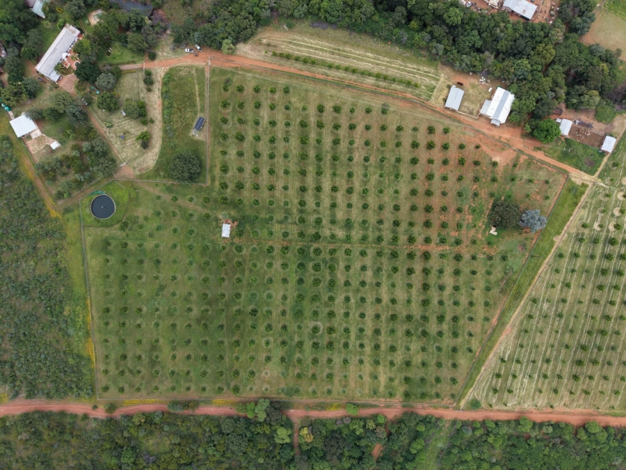 9 Bedroom Property for Sale in Bela Bela Limpopo