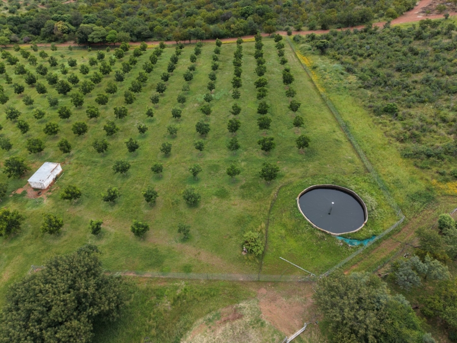 9 Bedroom Property for Sale in Bela Bela Limpopo