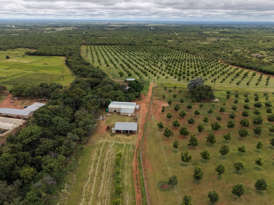 9 Bedroom Property for Sale in Bela Bela Limpopo