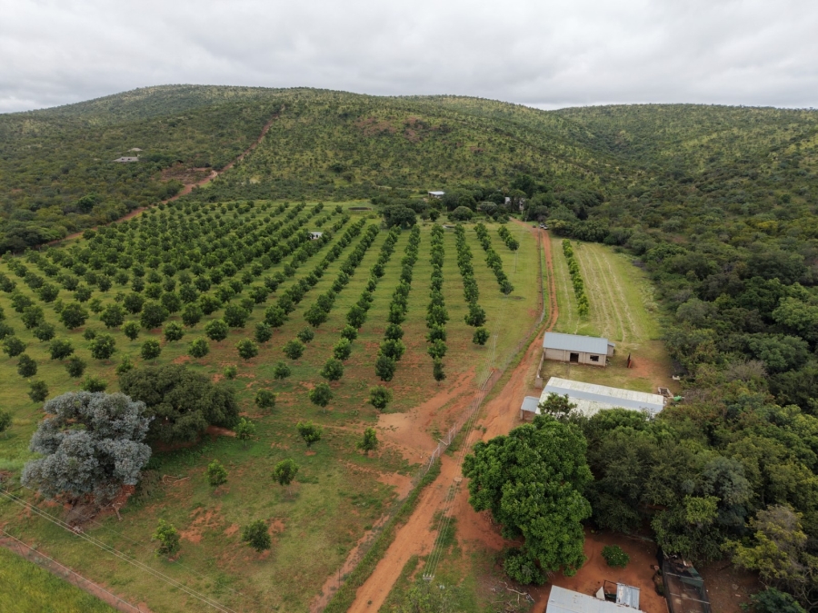 9 Bedroom Property for Sale in Bela Bela Limpopo