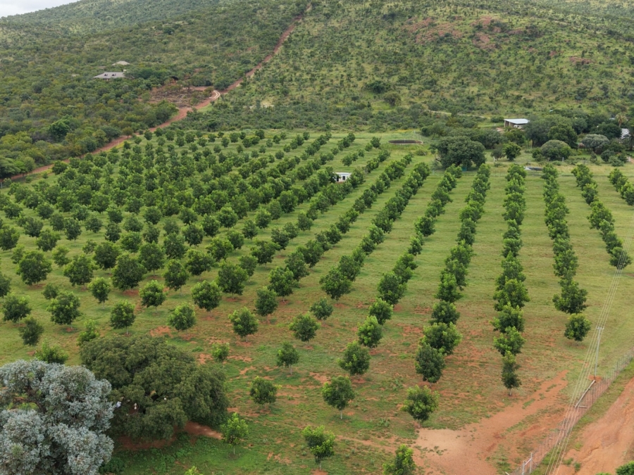 9 Bedroom Property for Sale in Bela Bela Limpopo