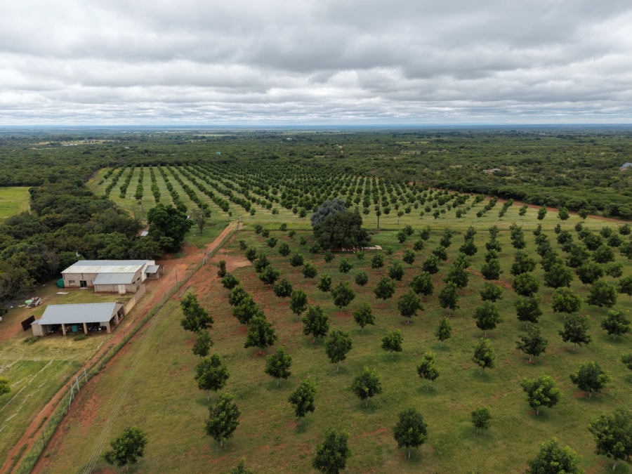 9 Bedroom Property for Sale in Bela Bela Limpopo