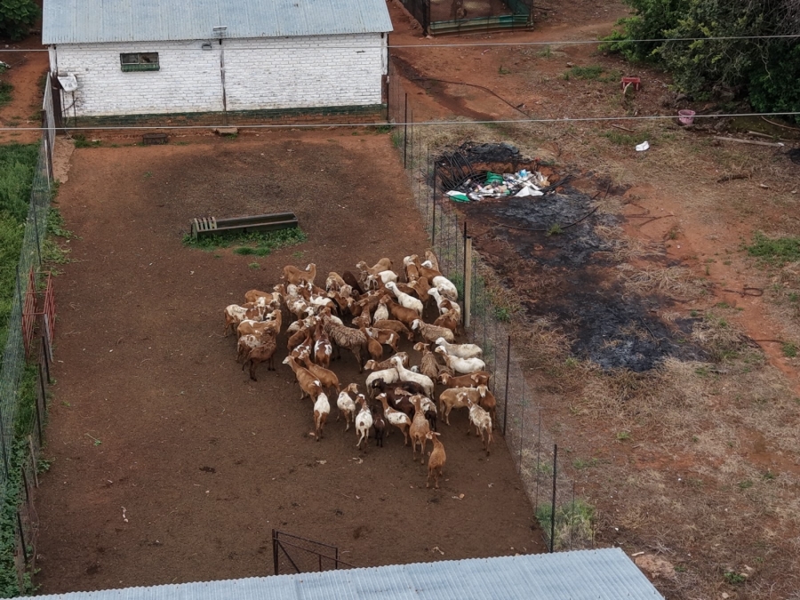 9 Bedroom Property for Sale in Bela Bela Limpopo