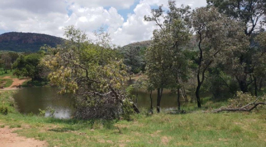 5 Bedroom Property for Sale in Modimolle Limpopo