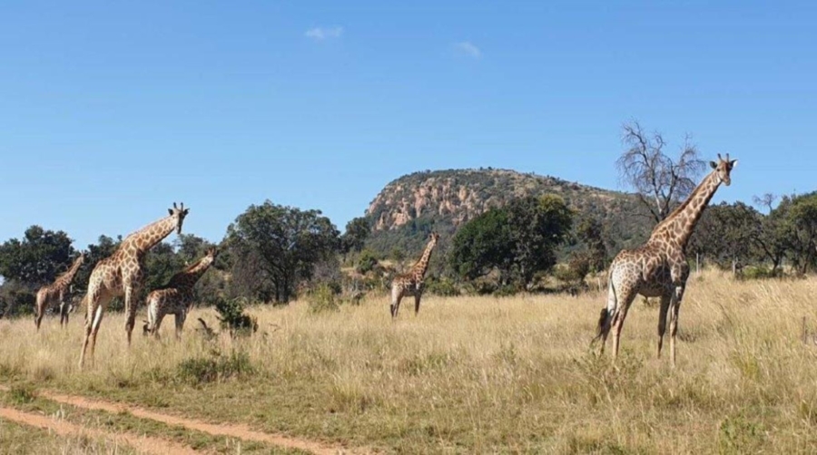 5 Bedroom Property for Sale in Modimolle Limpopo
