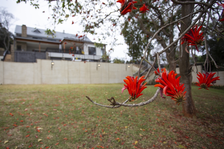 6 Bedroom Property for Sale in Louis Trichardt Limpopo
