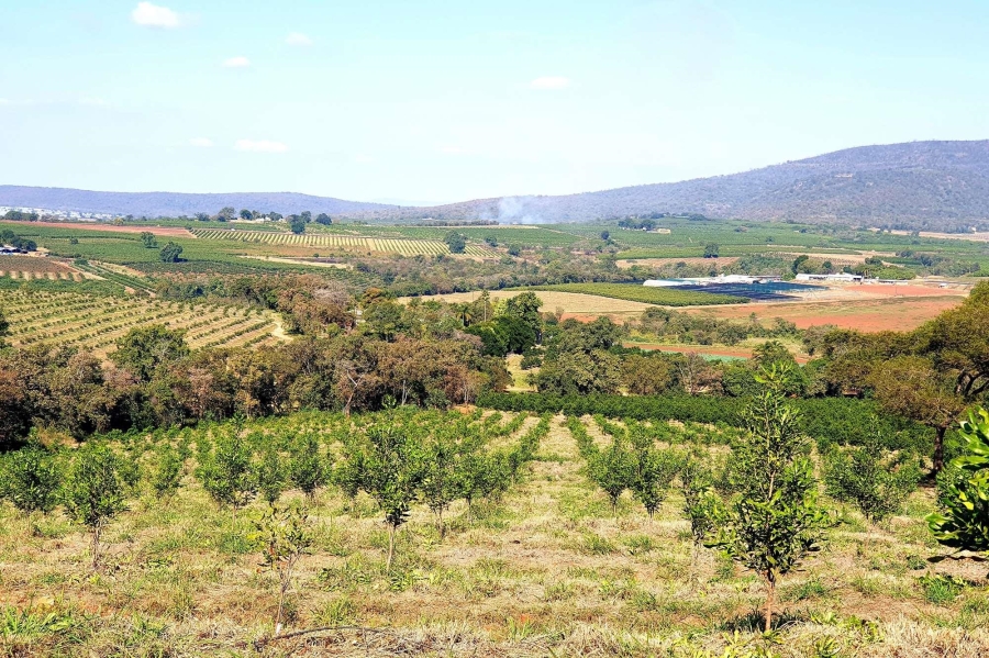 0 Bedroom Property for Sale in Tzaneen Rural Limpopo