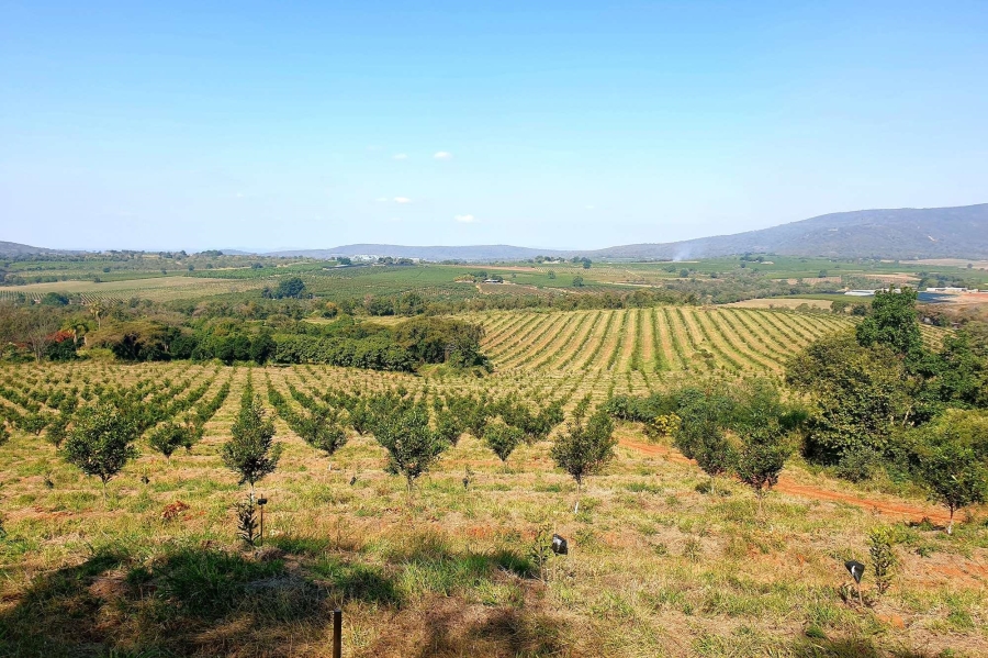 0 Bedroom Property for Sale in Tzaneen Rural Limpopo