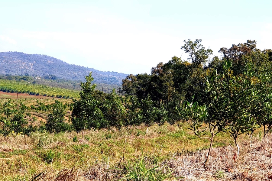 0 Bedroom Property for Sale in Tzaneen Rural Limpopo