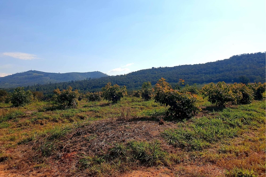 0 Bedroom Property for Sale in Tzaneen Rural Limpopo