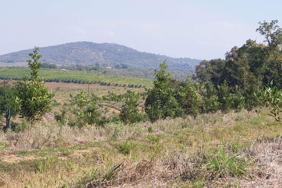 0 Bedroom Property for Sale in Tzaneen Rural Limpopo