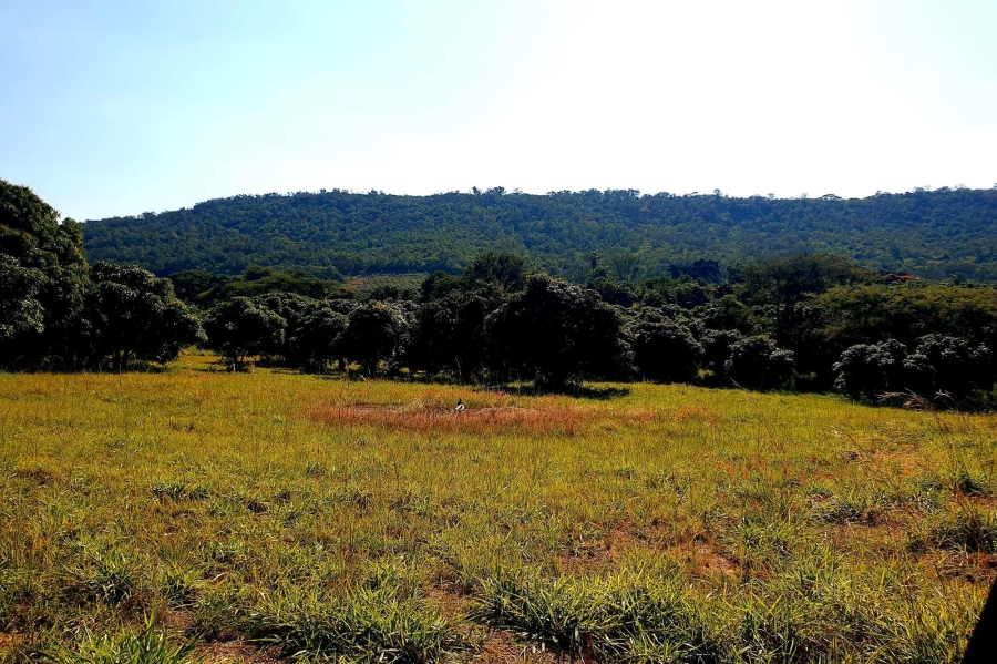 0 Bedroom Property for Sale in Tzaneen Rural Limpopo