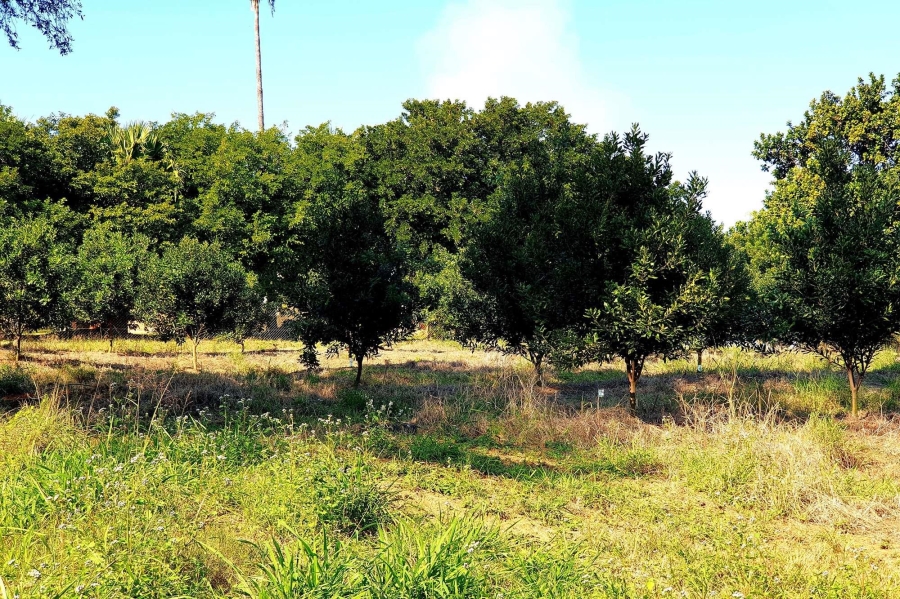 0 Bedroom Property for Sale in Tzaneen Rural Limpopo