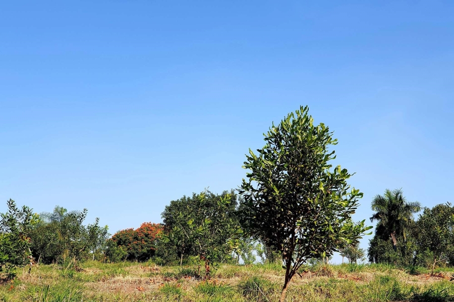 0 Bedroom Property for Sale in Tzaneen Rural Limpopo