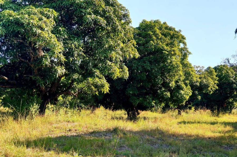 0 Bedroom Property for Sale in Tzaneen Rural Limpopo