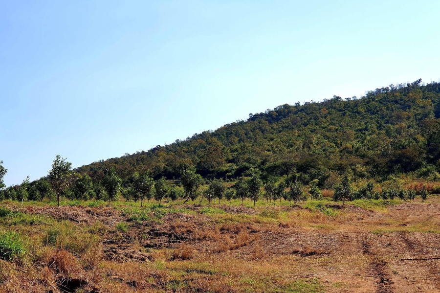 0 Bedroom Property for Sale in Tzaneen Rural Limpopo