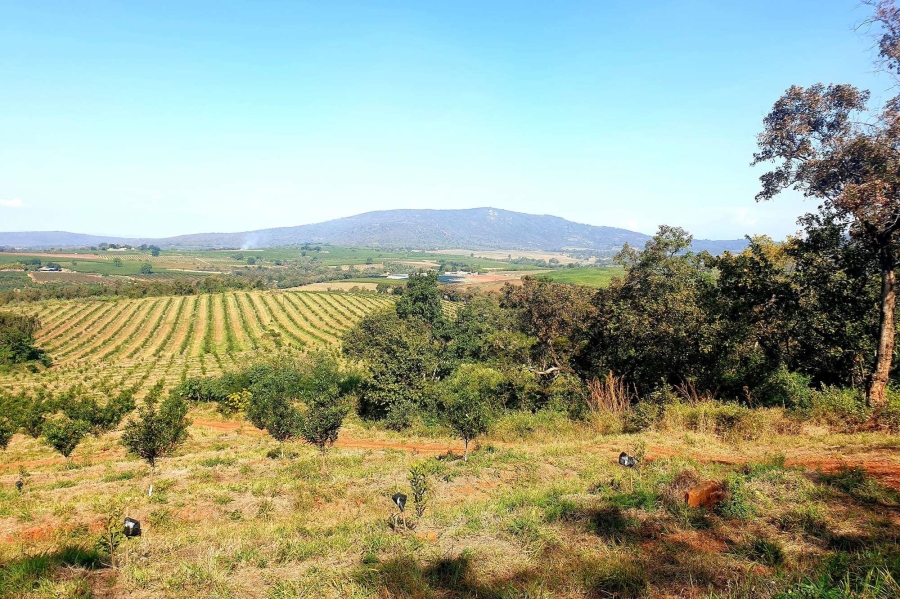0 Bedroom Property for Sale in Tzaneen Rural Limpopo