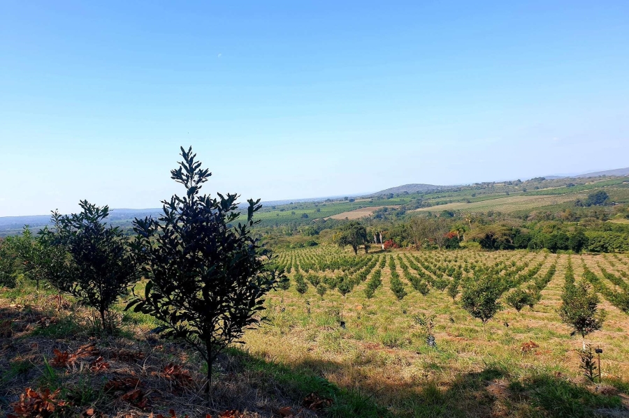 0 Bedroom Property for Sale in Tzaneen Rural Limpopo