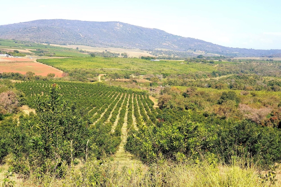 0 Bedroom Property for Sale in Tzaneen Rural Limpopo