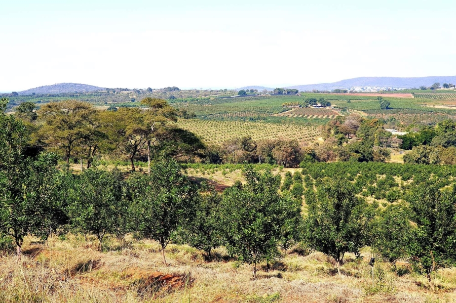 0 Bedroom Property for Sale in Tzaneen Rural Limpopo
