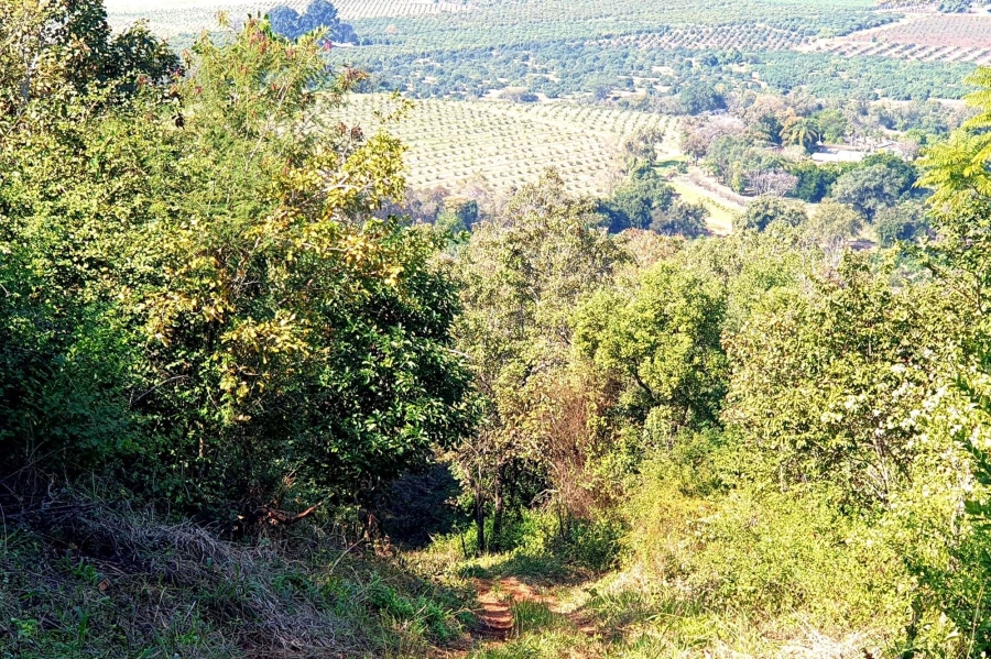 0 Bedroom Property for Sale in Tzaneen Rural Limpopo