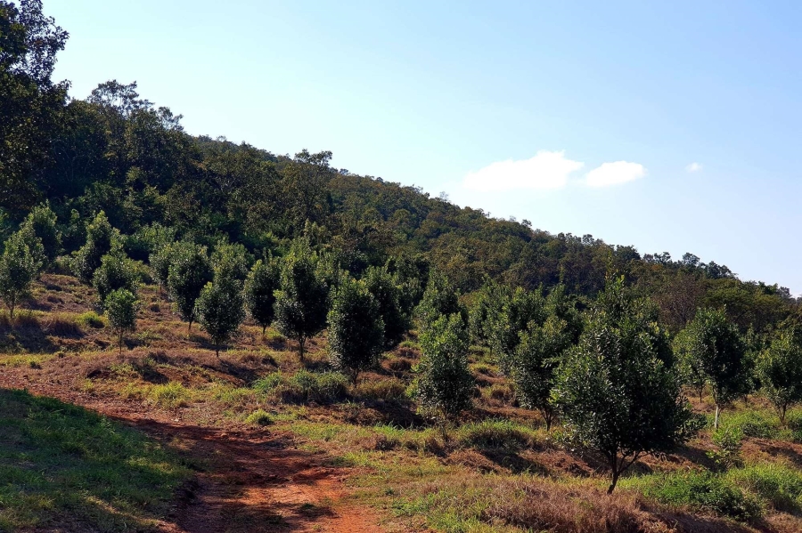 0 Bedroom Property for Sale in Tzaneen Rural Limpopo