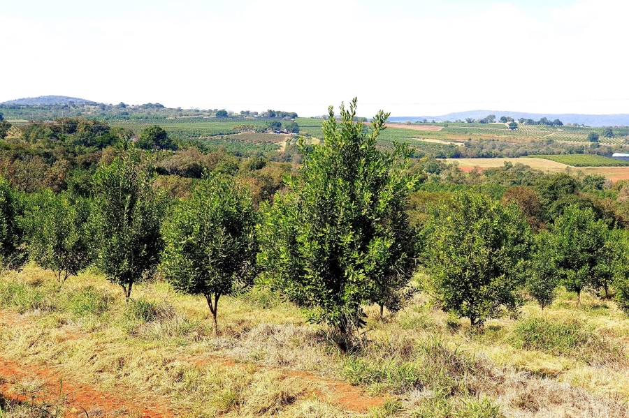 0 Bedroom Property for Sale in Tzaneen Rural Limpopo