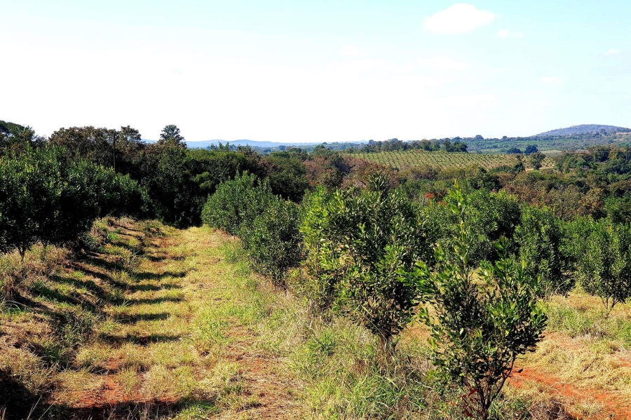 0 Bedroom Property for Sale in Tzaneen Rural Limpopo
