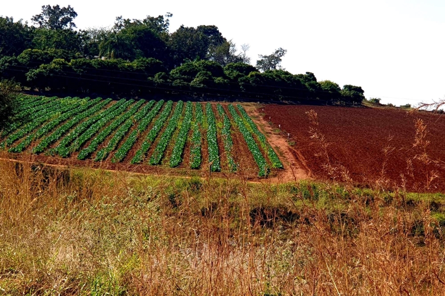 0 Bedroom Property for Sale in Tzaneen Rural Limpopo
