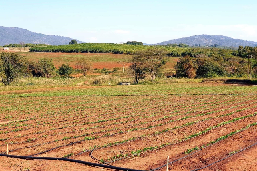 0 Bedroom Property for Sale in Tzaneen Rural Limpopo