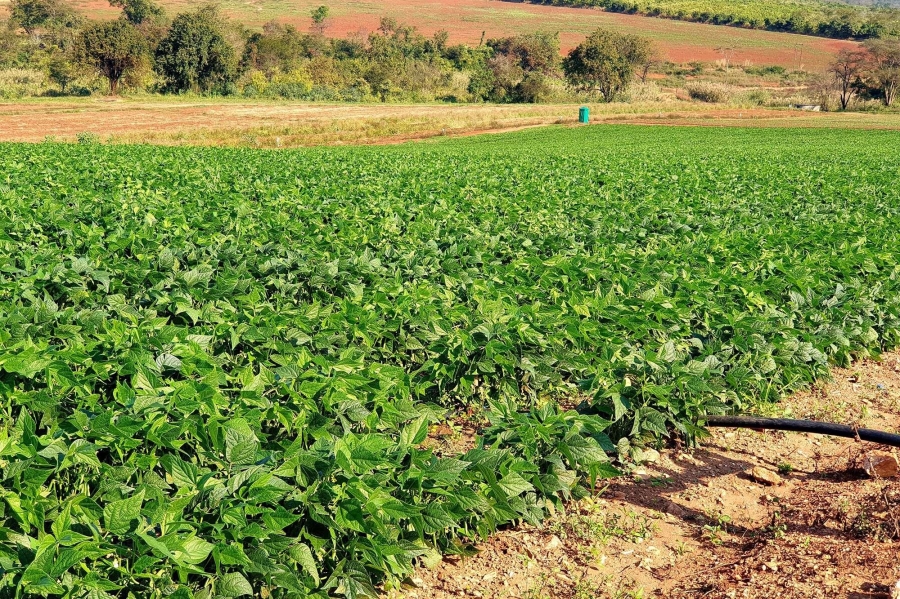 0 Bedroom Property for Sale in Tzaneen Rural Limpopo