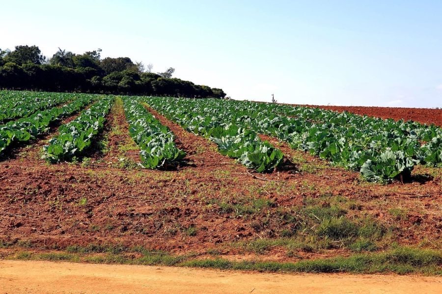 0 Bedroom Property for Sale in Tzaneen Rural Limpopo