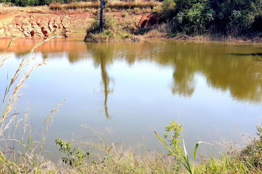 0 Bedroom Property for Sale in Tzaneen Rural Limpopo
