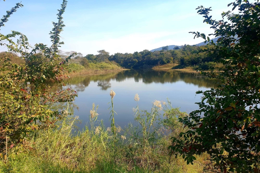0 Bedroom Property for Sale in Tzaneen Rural Limpopo