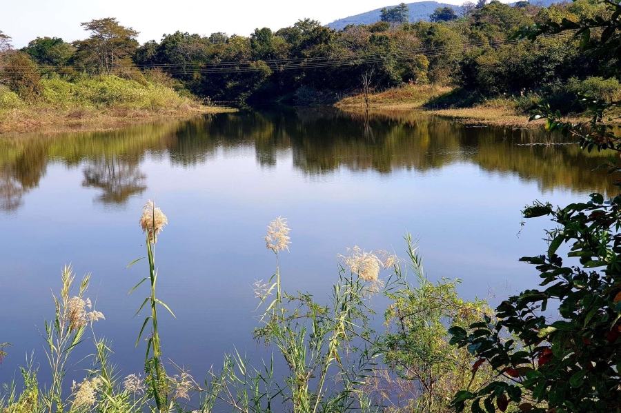0 Bedroom Property for Sale in Tzaneen Rural Limpopo