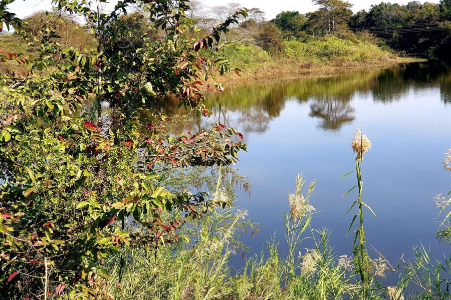 0 Bedroom Property for Sale in Tzaneen Rural Limpopo