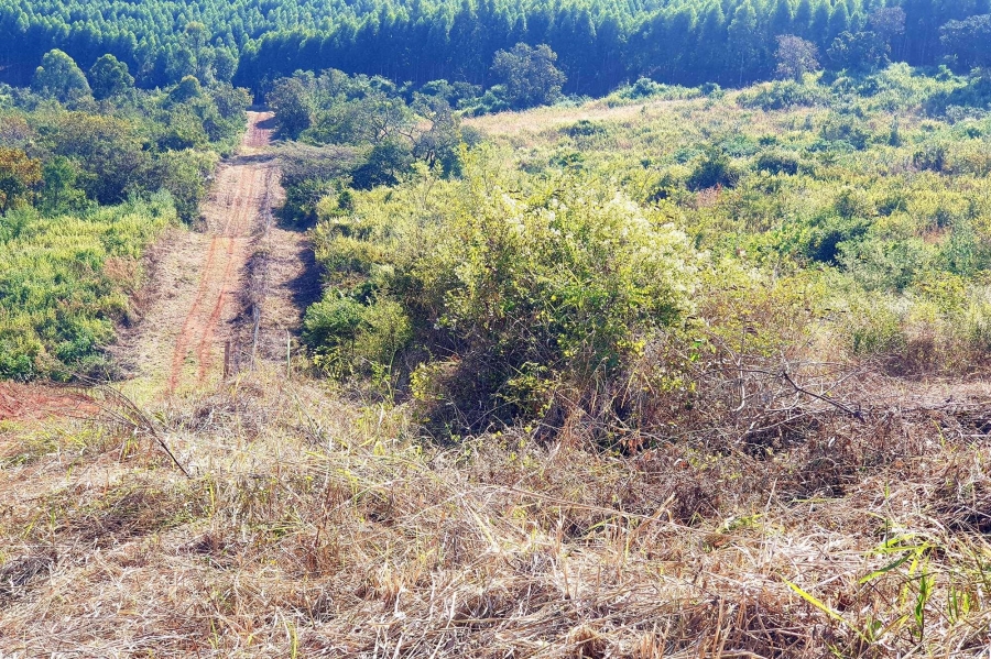 0 Bedroom Property for Sale in Tzaneen Rural Limpopo