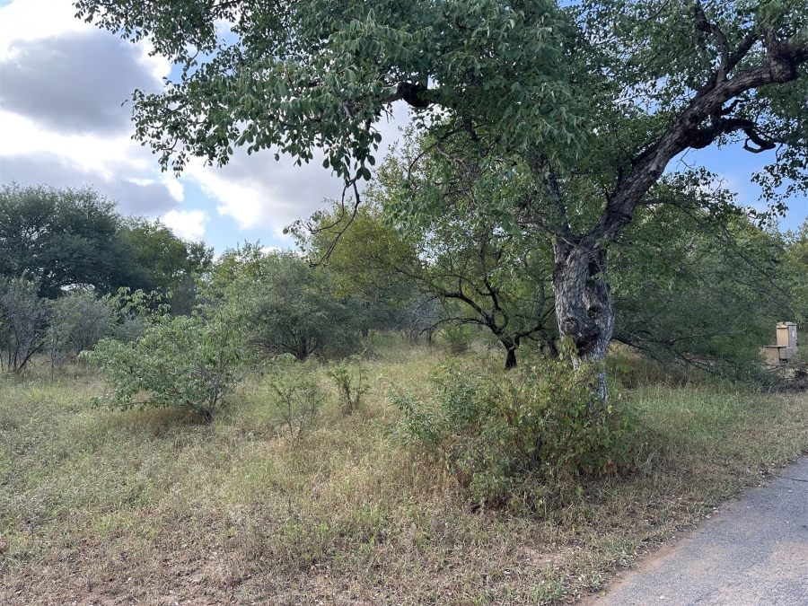0 Bedroom Property for Sale in Hoedspruit Wildlife Estate Limpopo