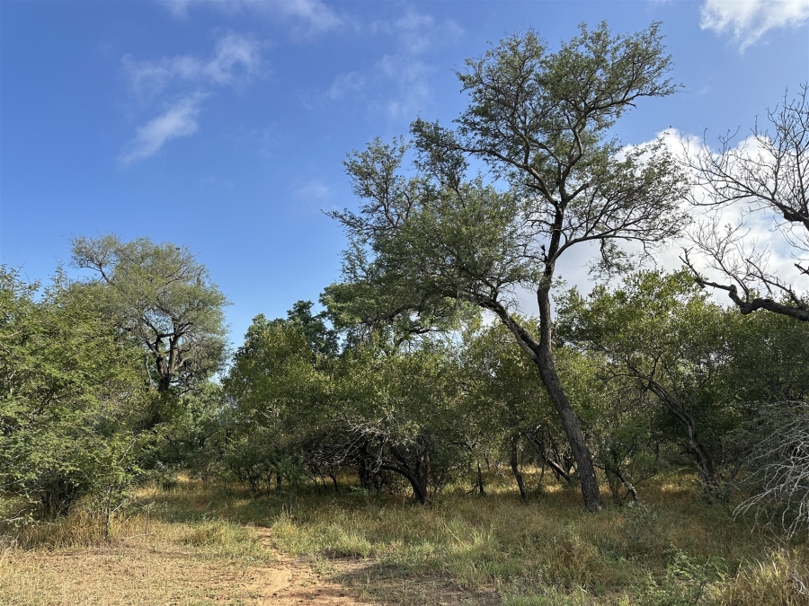 0 Bedroom Property for Sale in Hoedspruit Wildlife Estate Limpopo