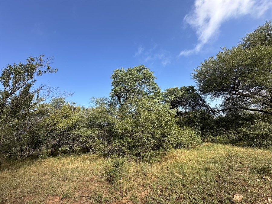 0 Bedroom Property for Sale in Hoedspruit Wildlife Estate Limpopo