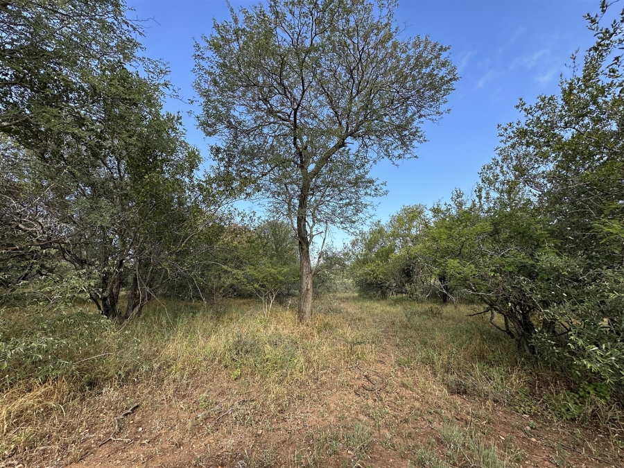 0 Bedroom Property for Sale in Hoedspruit Wildlife Estate Limpopo