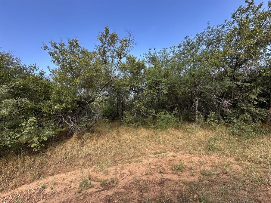 0 Bedroom Property for Sale in Hoedspruit Wildlife Estate Limpopo