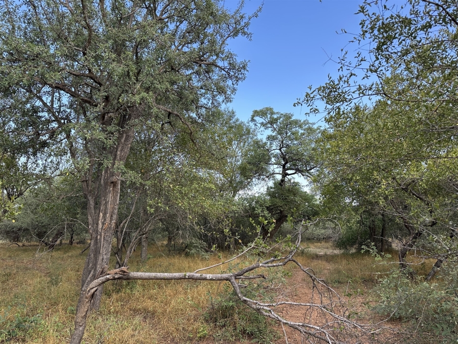 0 Bedroom Property for Sale in Hoedspruit Wildlife Estate Limpopo