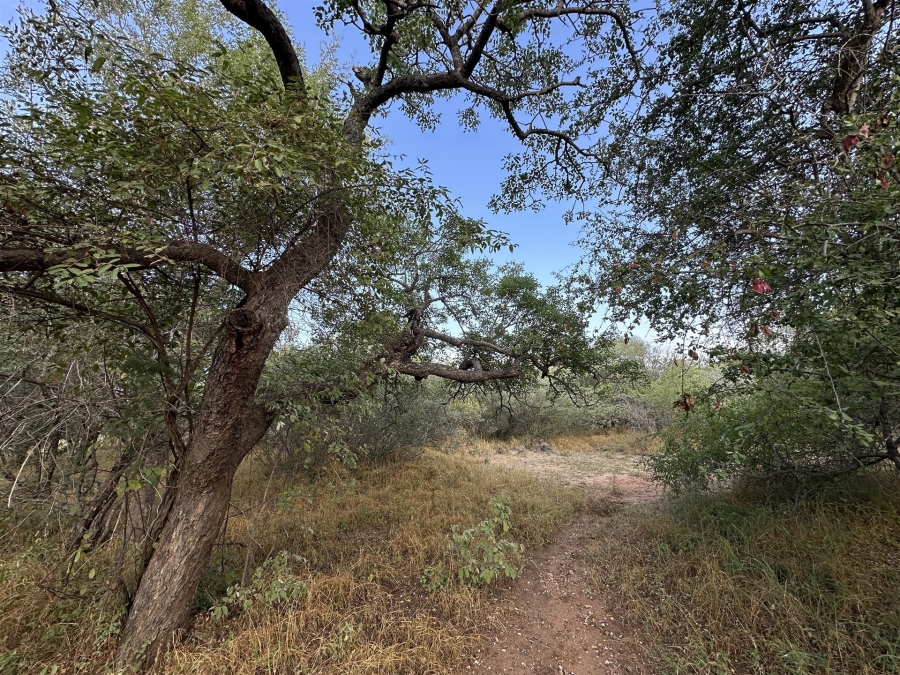 0 Bedroom Property for Sale in Hoedspruit Wildlife Estate Limpopo