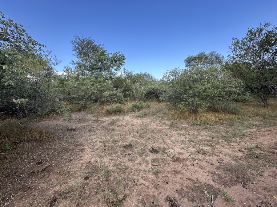 0 Bedroom Property for Sale in Hoedspruit Wildlife Estate Limpopo