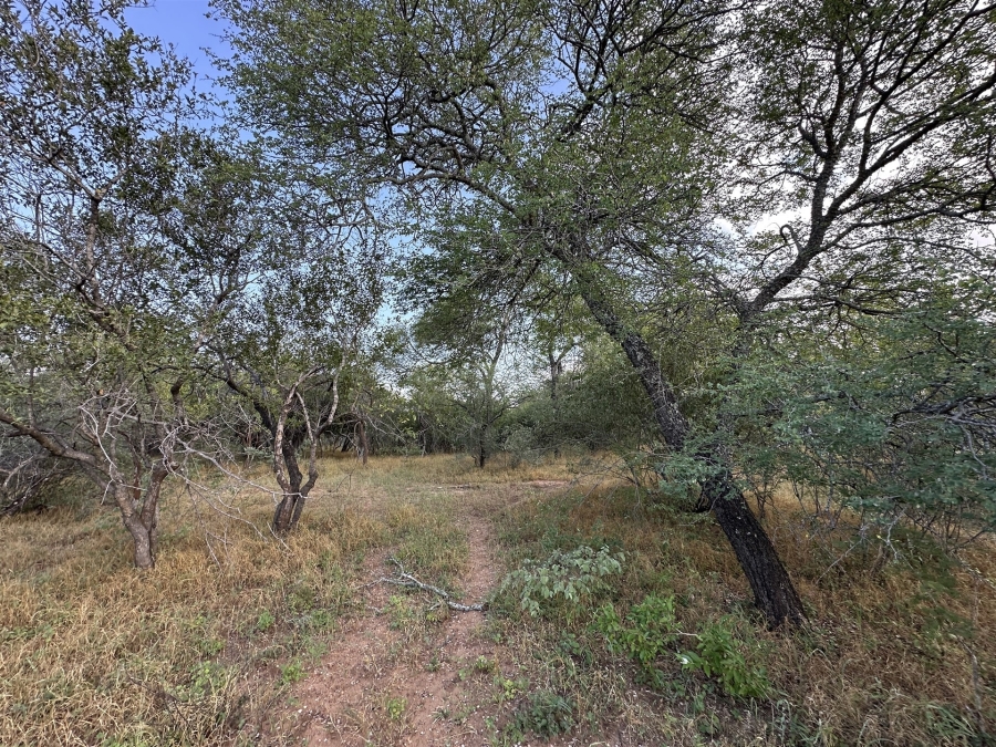 0 Bedroom Property for Sale in Hoedspruit Wildlife Estate Limpopo