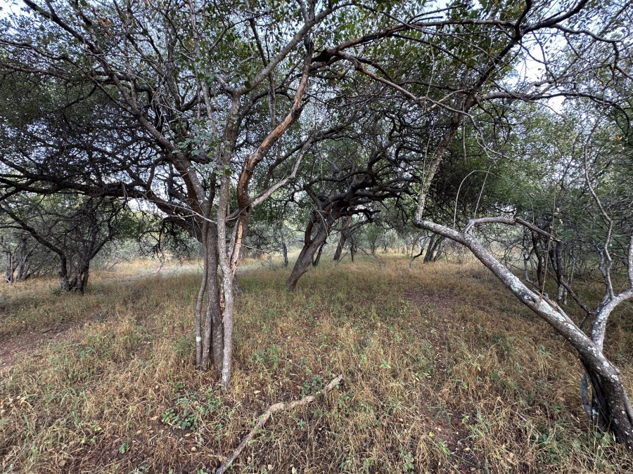 0 Bedroom Property for Sale in Hoedspruit Wildlife Estate Limpopo