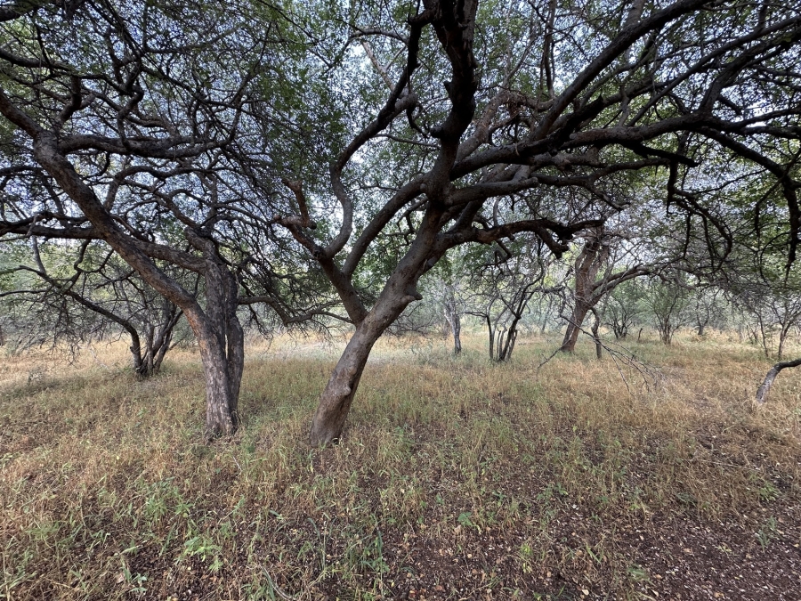 0 Bedroom Property for Sale in Hoedspruit Wildlife Estate Limpopo