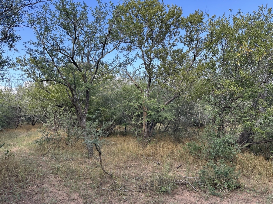 0 Bedroom Property for Sale in Hoedspruit Wildlife Estate Limpopo