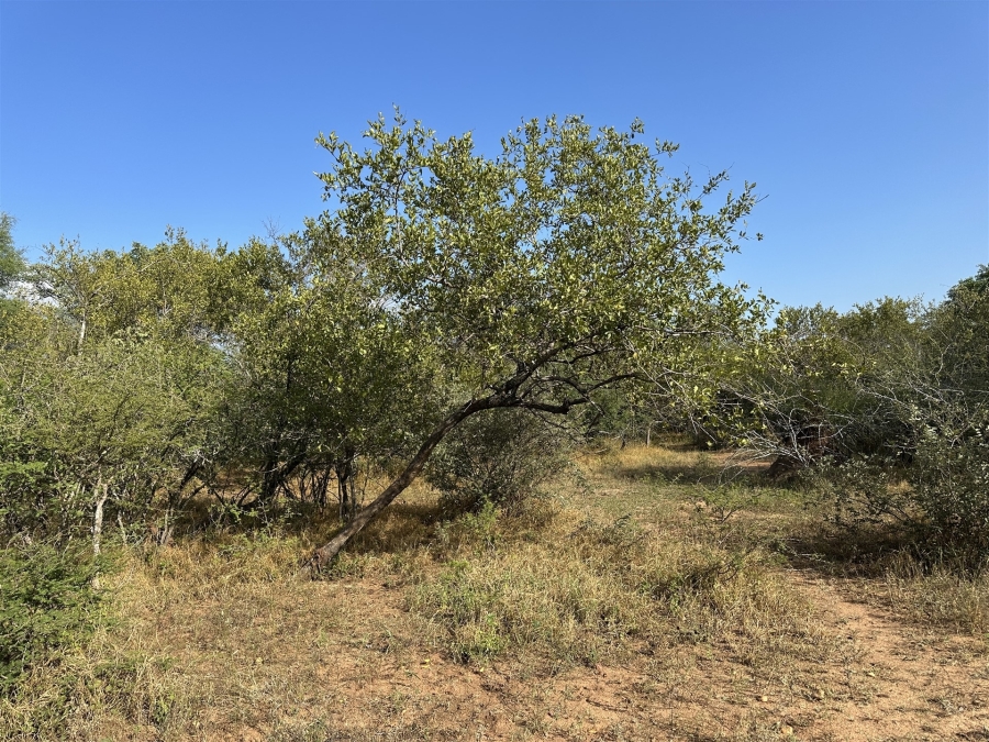 0 Bedroom Property for Sale in Hoedspruit Wildlife Estate Limpopo